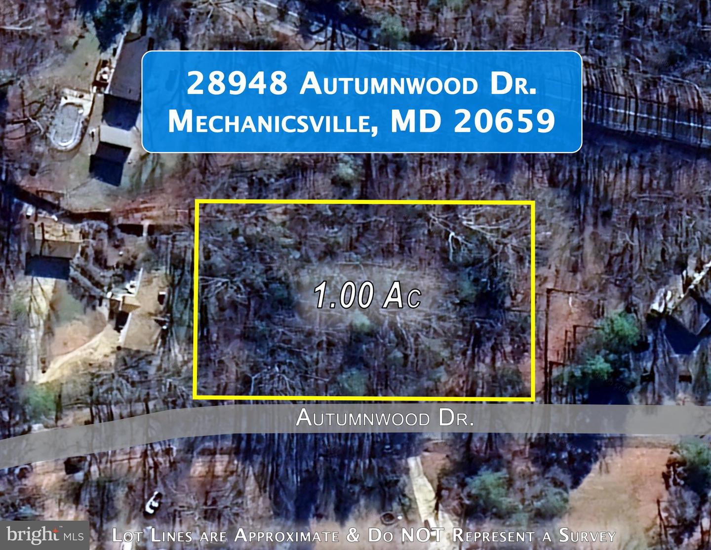 28948 Autumnwood Dr Property Photo 2