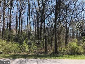 28948 Autumnwood Dr Property Photo 3