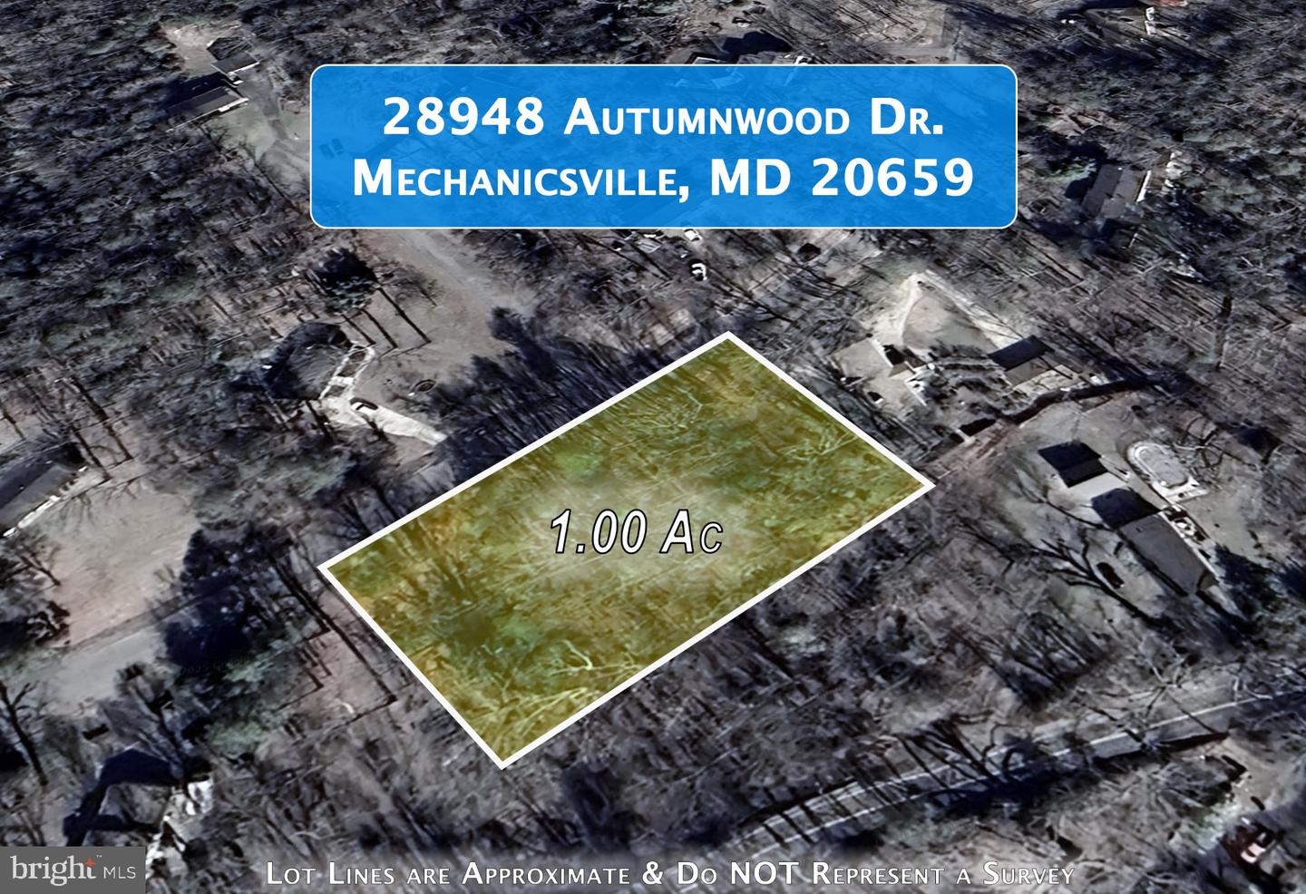 28948 Autumnwood Dr Property Photo 4