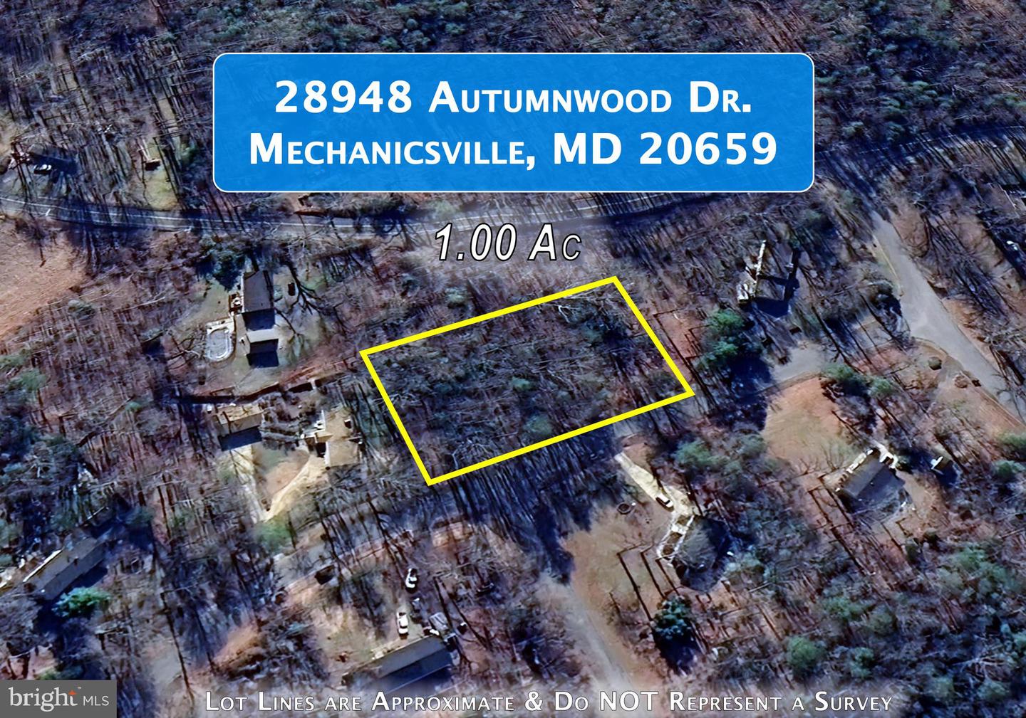 28948 Autumnwood Dr Property Photo 5