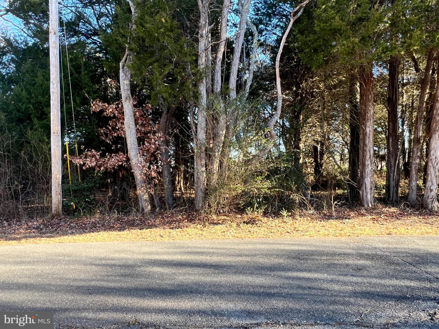 Bay Dr Property Photo 1