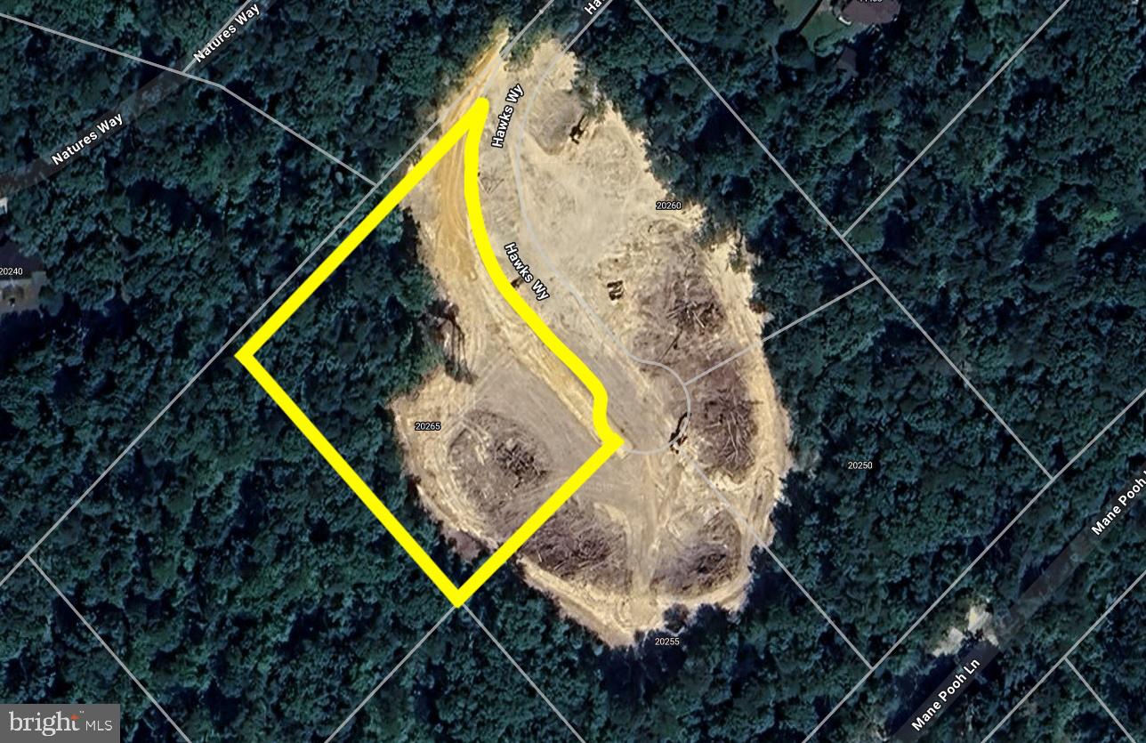 20265 Hawks Way Property Photo 1
