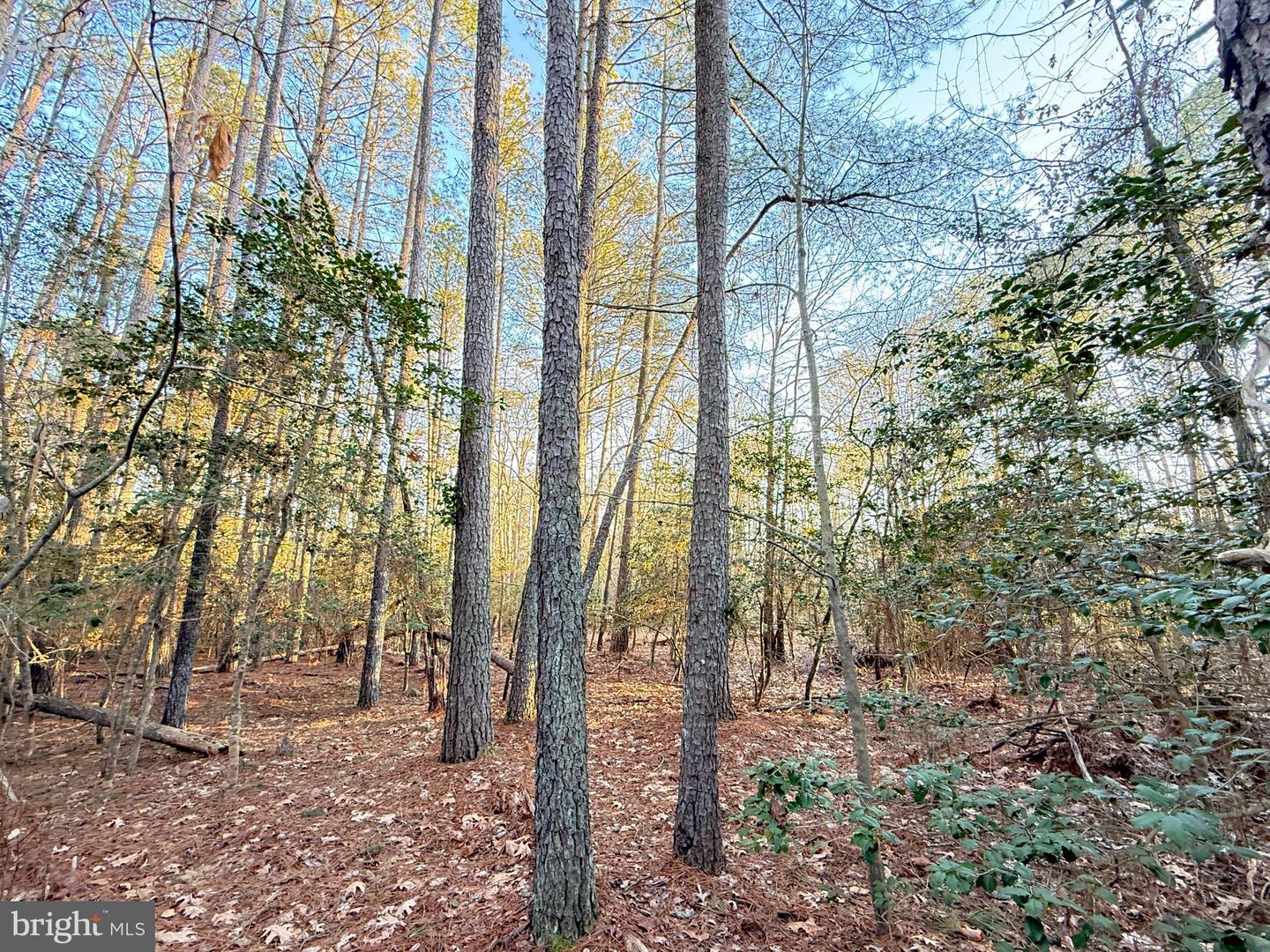 46080 Usher Ln Property Photo 2