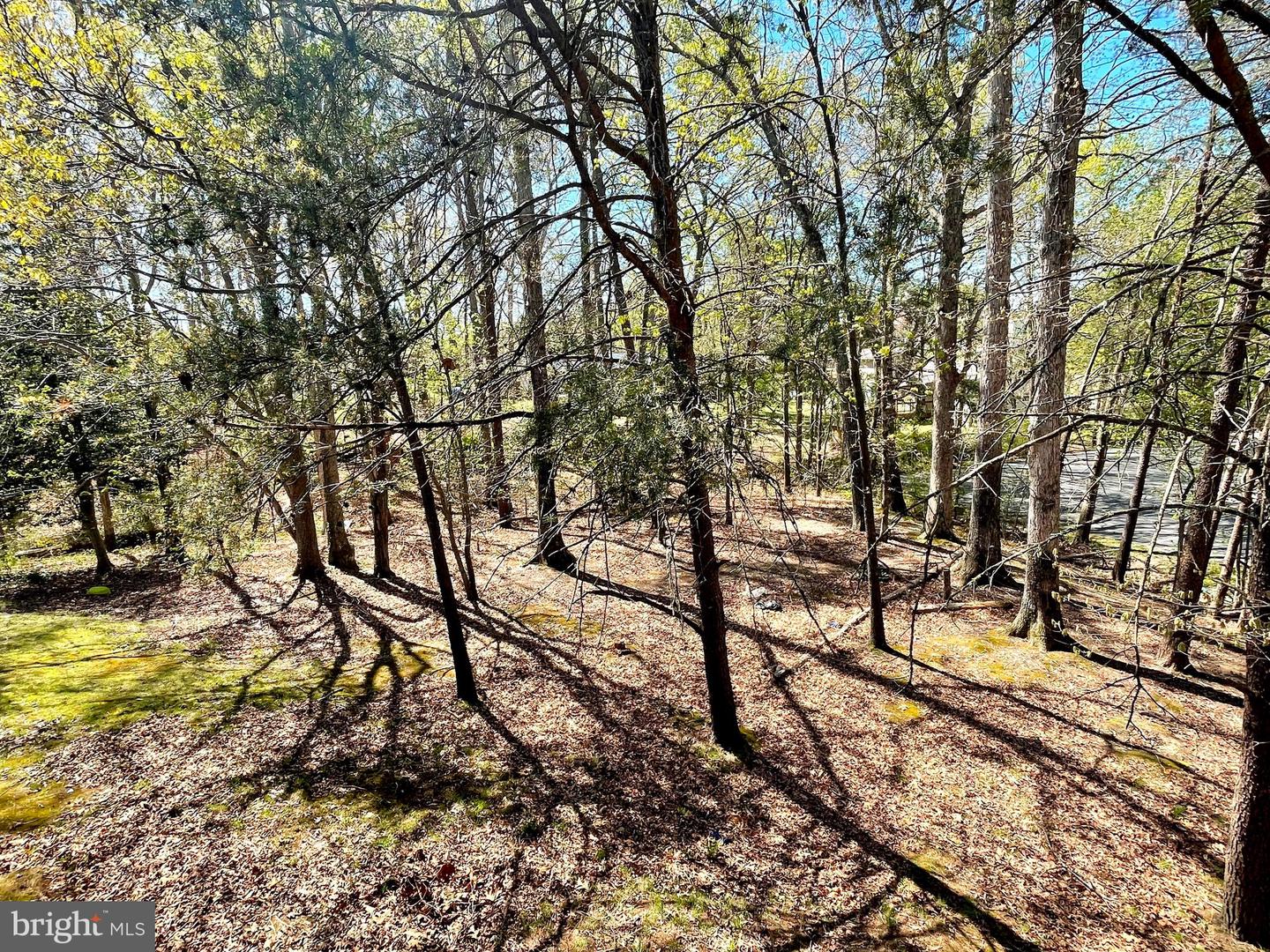 45743 Dee Ct Property Photo 30