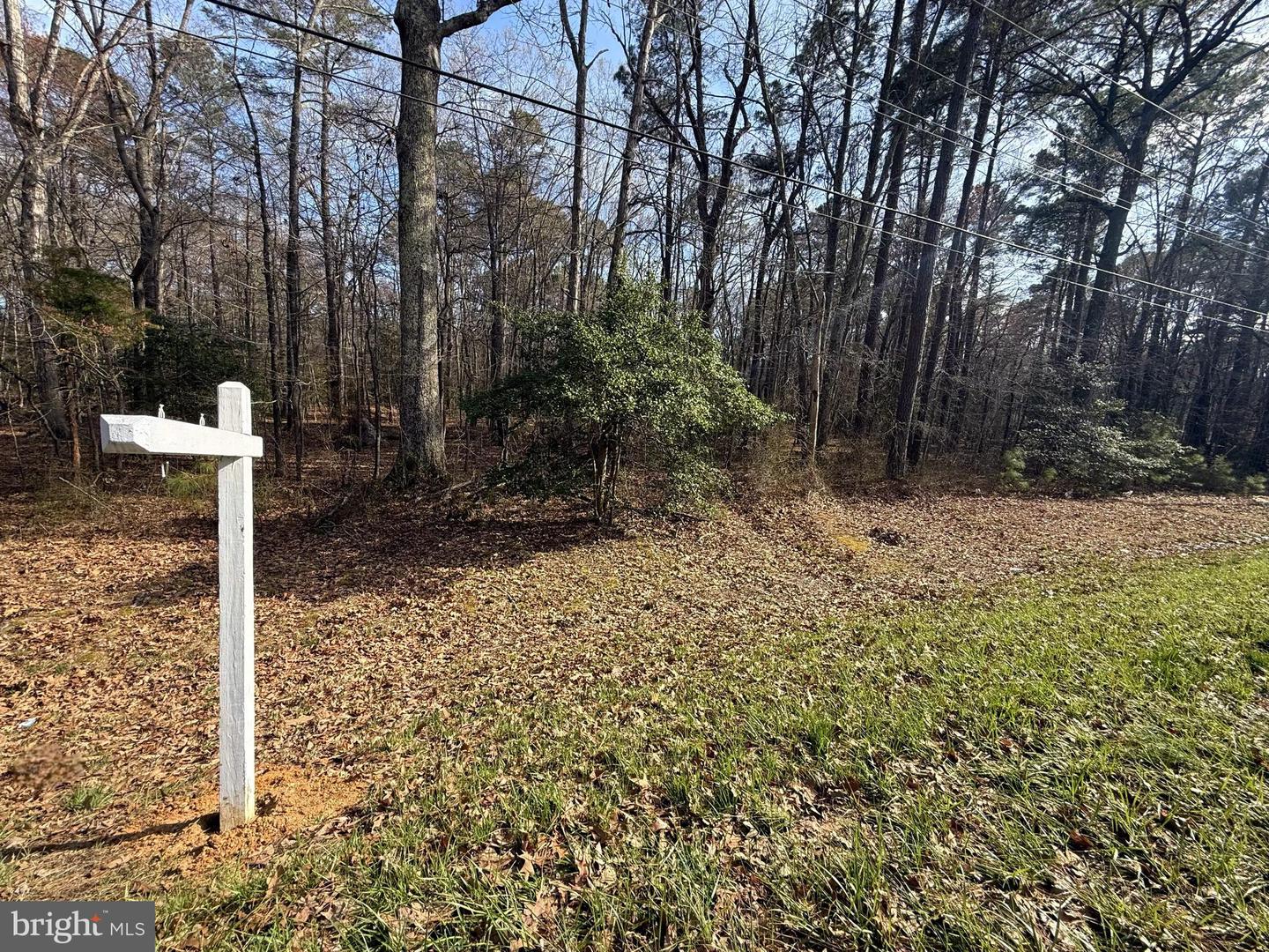 18832 Piney Point Rd Property Photo 2