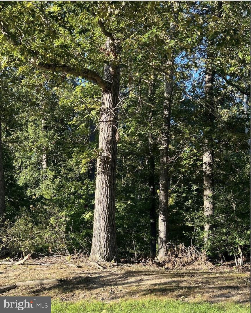 Unknown Property Photo 1