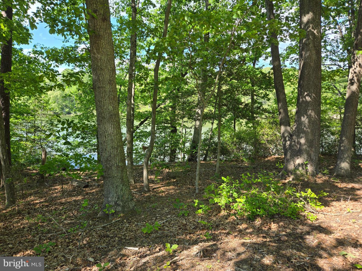 Lot 3 Seaside Ln Property Photo 1