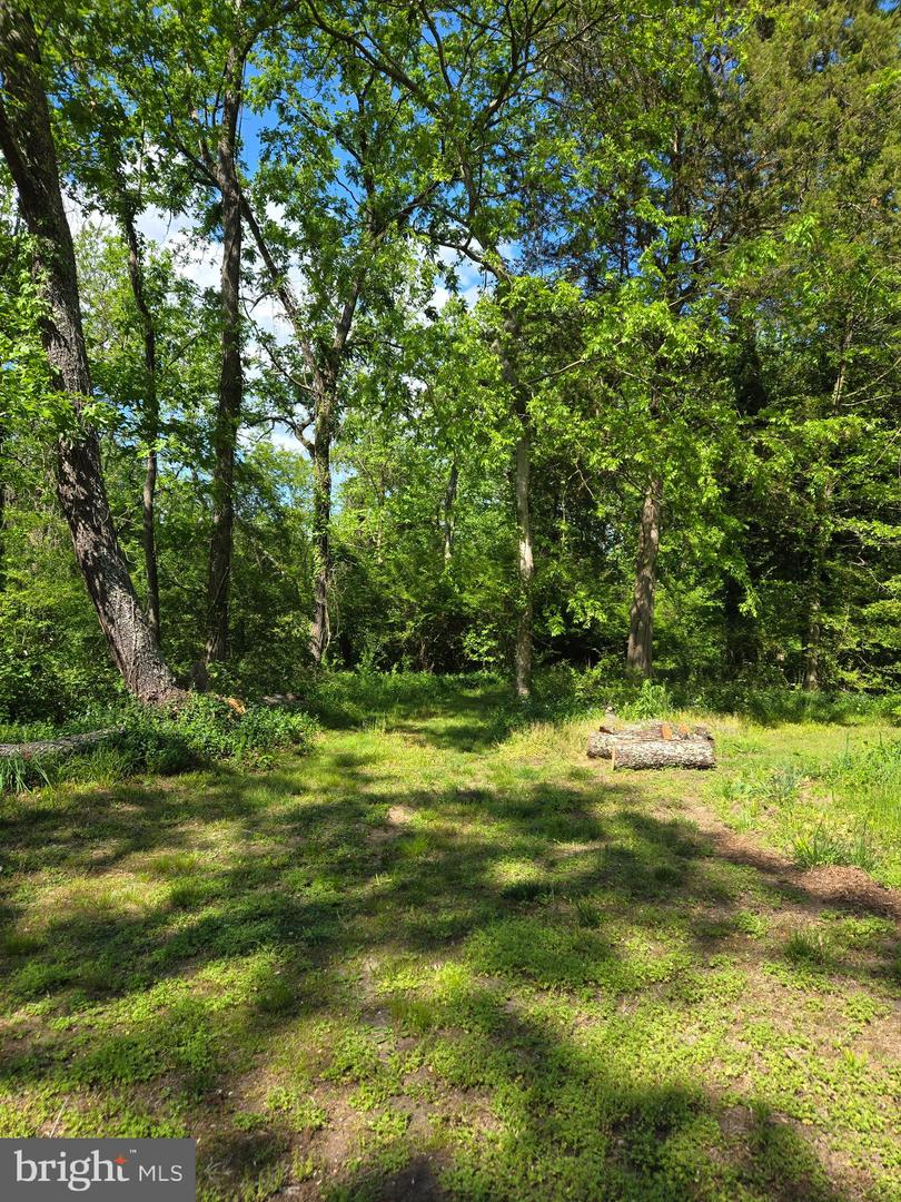 Lot 3 Seaside Ln Property Photo 2