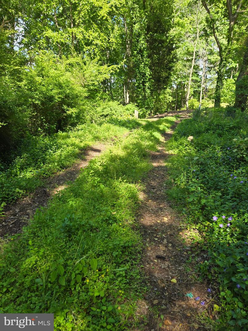 Lot 3 Seaside Ln Property Photo 3