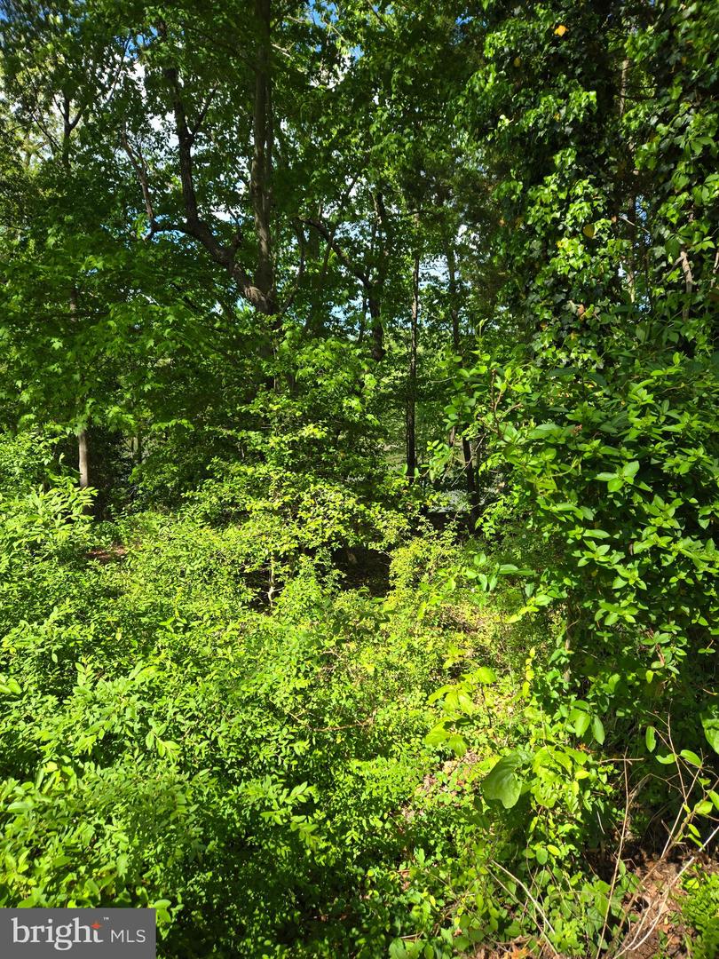 Lot 3 Seaside Ln Property Photo 5