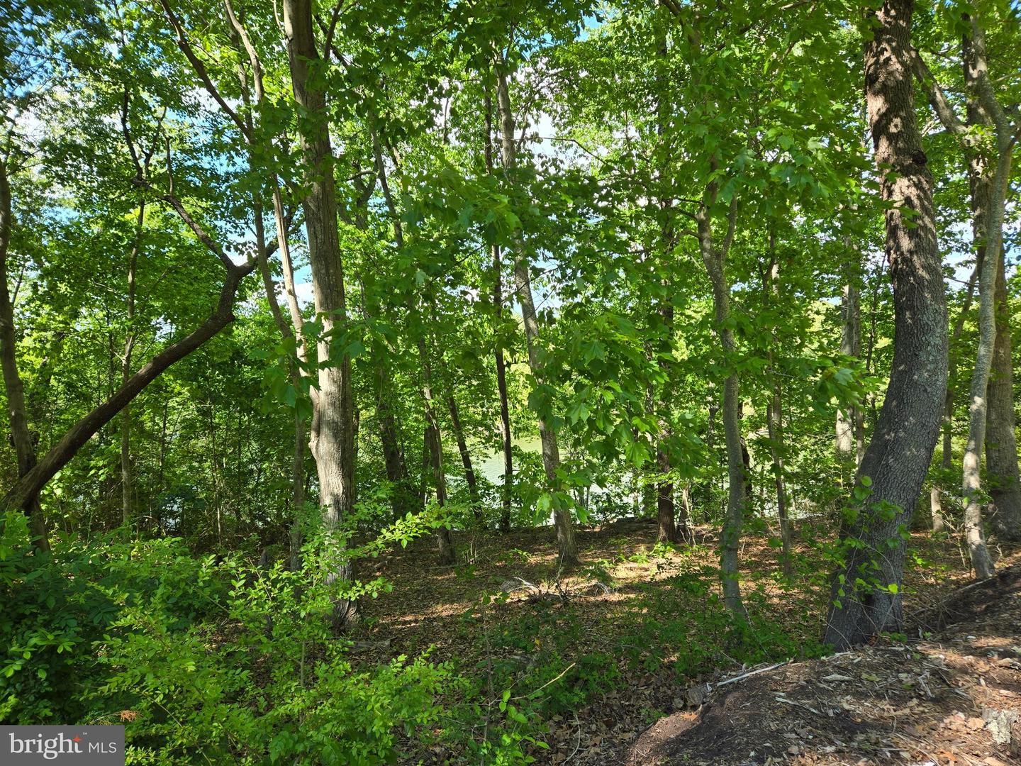 Lot 3 Seaside Ln Property Photo 6