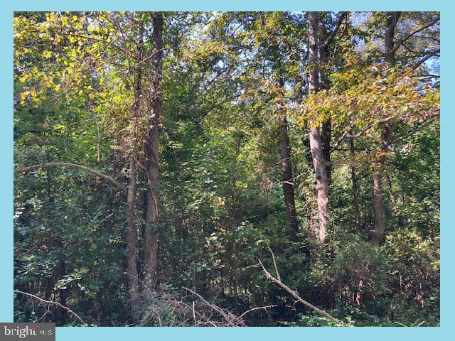Woodbush Dr Property Photo 1