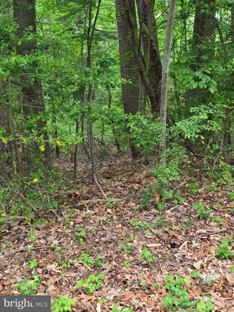25675 Southwell Ln Property Photo 2