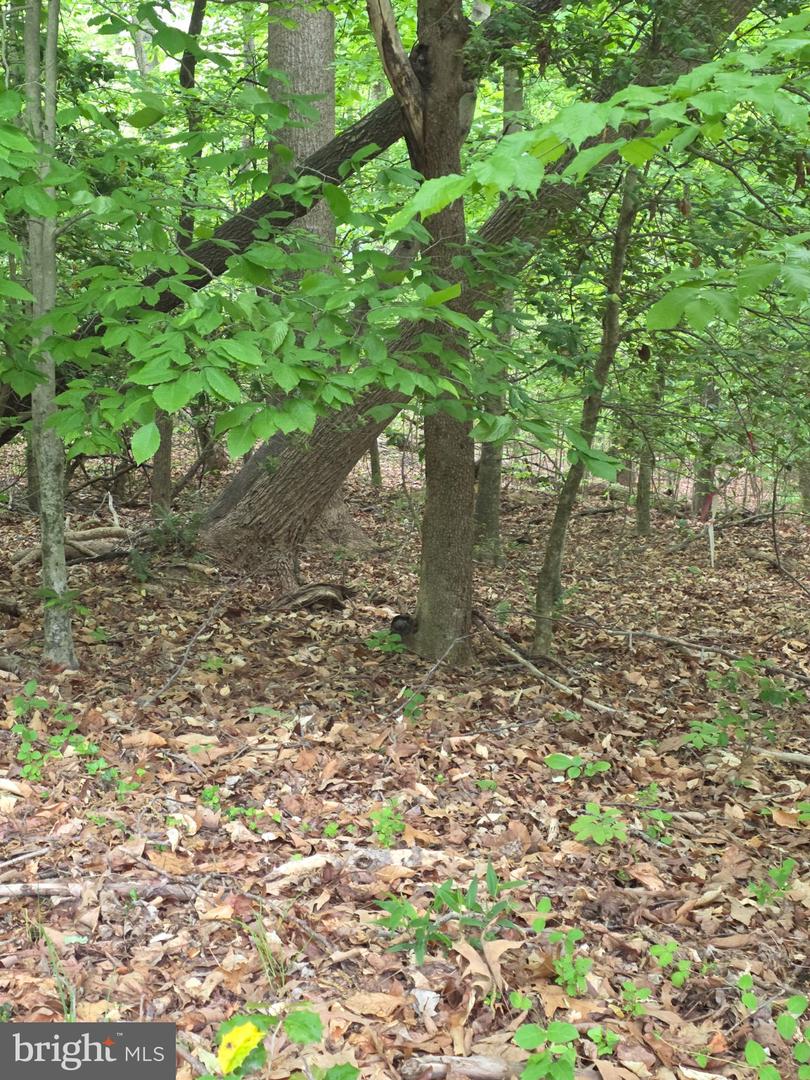 25675 Southwell Ln Property Photo 6