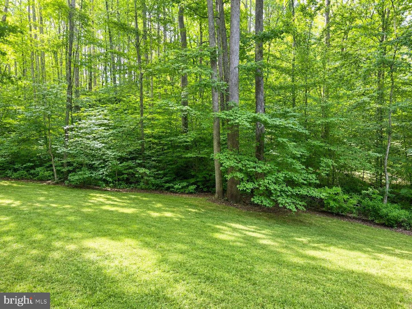 37681 Asher Rd Property Photo 19