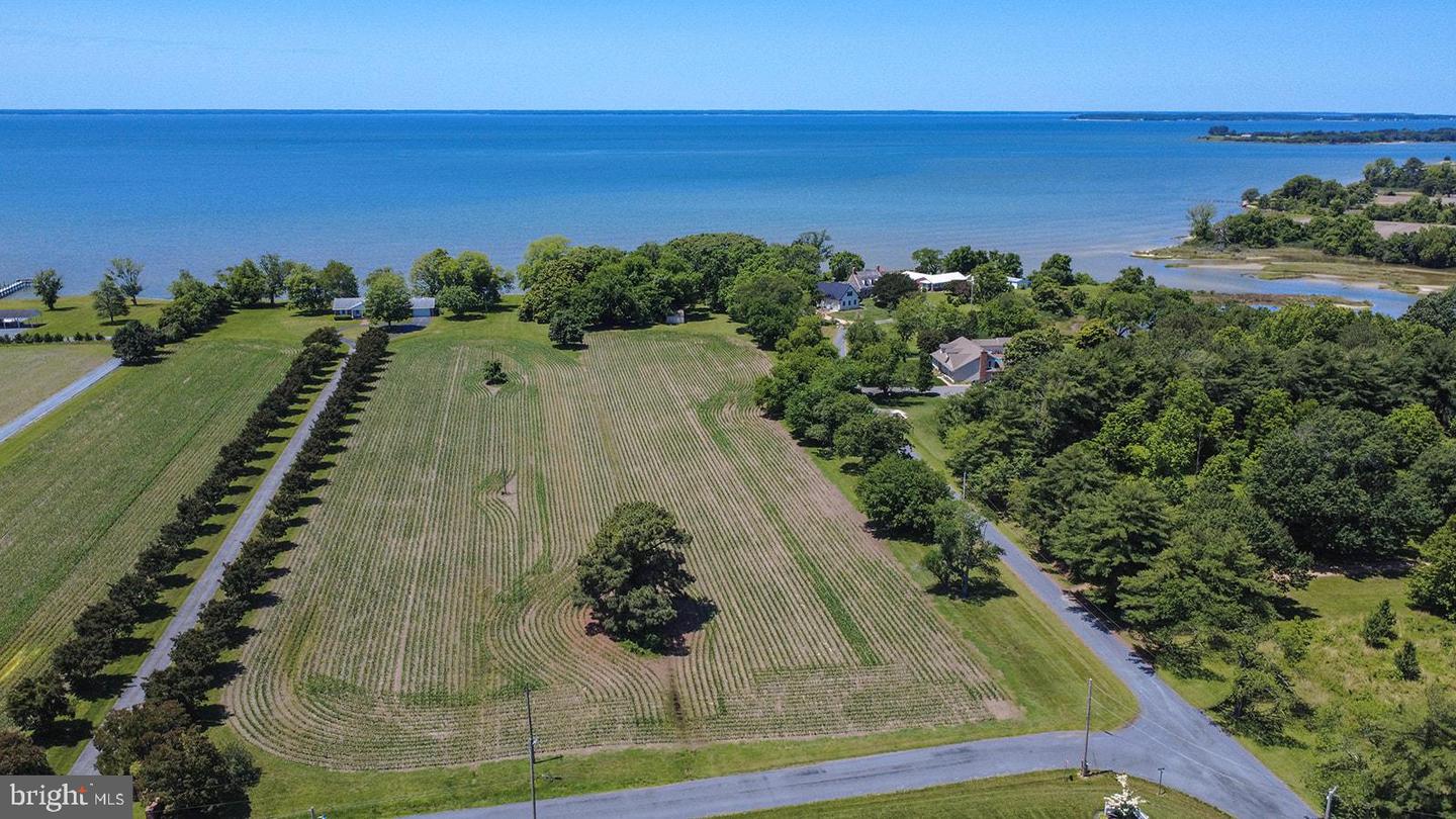 Curley Property Photo 1