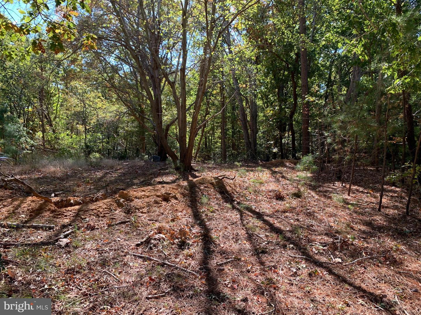 48683 Beachville Rd Property Photo 13