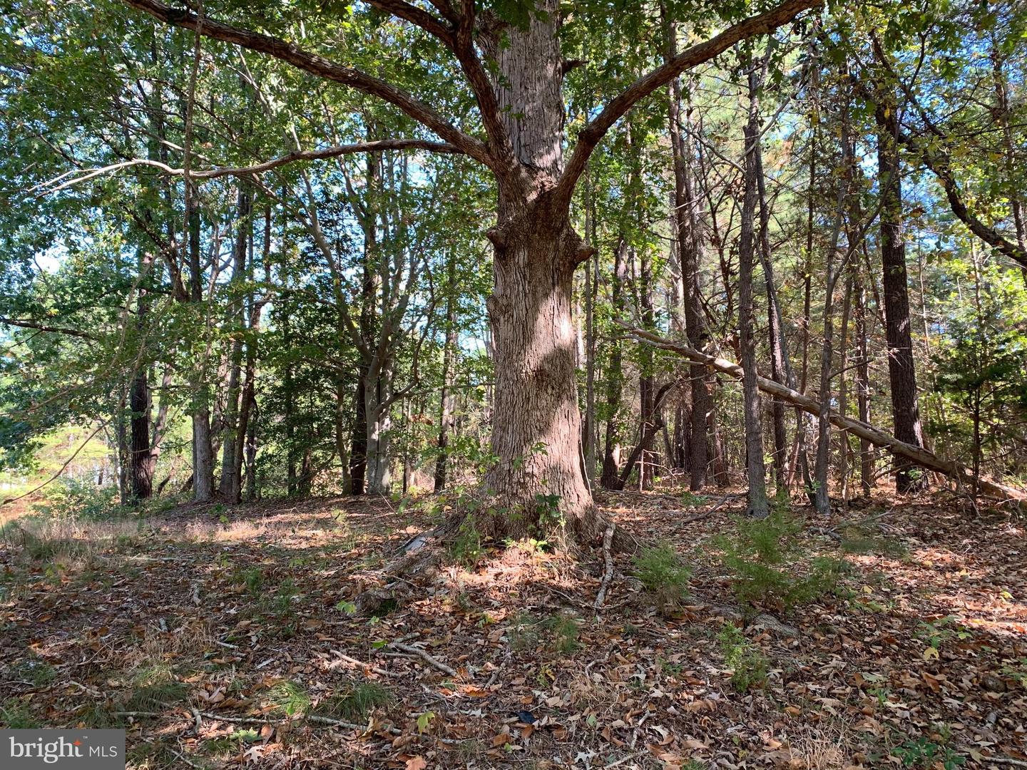 48683 Beachville Rd Property Photo 14