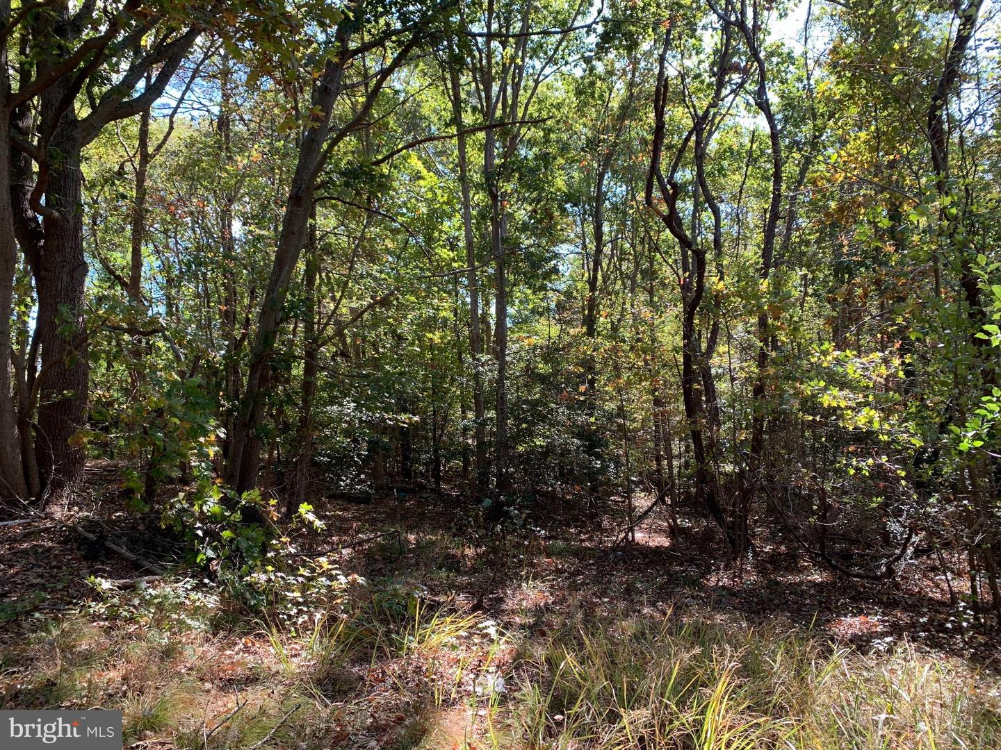 48683 Beachville Rd Property Photo 15