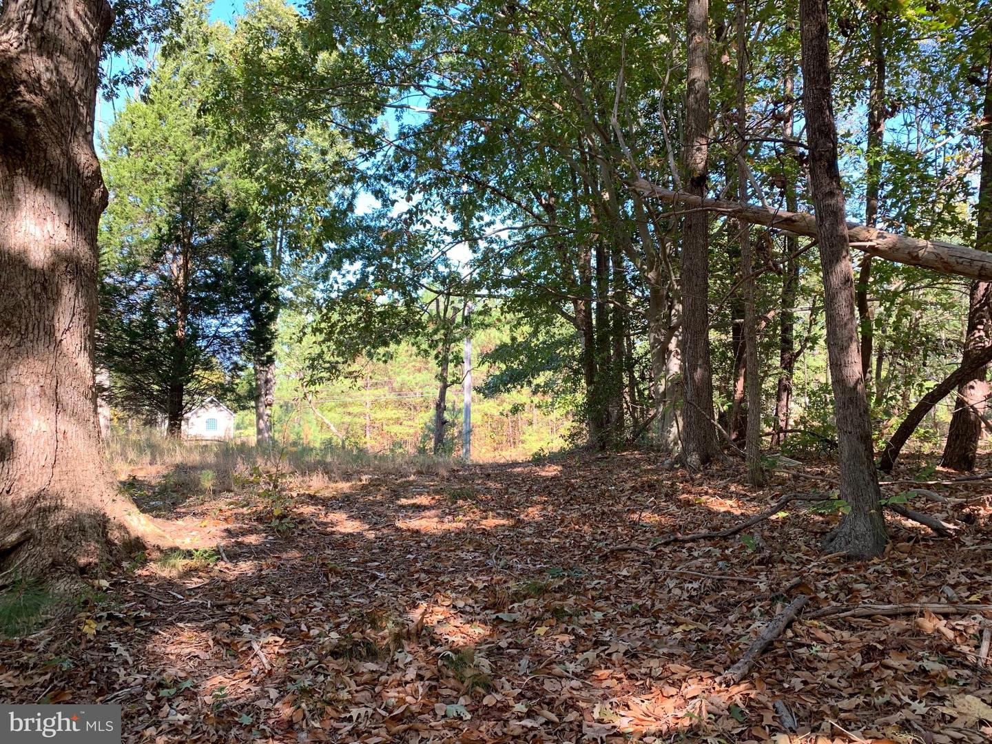 48683 Beachville Rd Property Photo 18