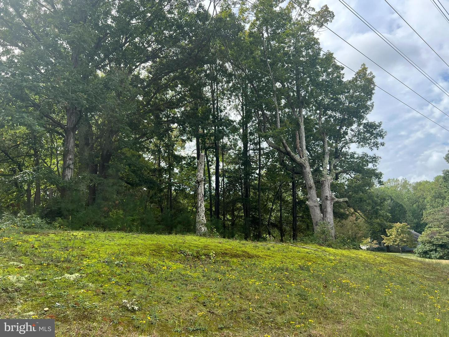 48683 Beachville Rd Property Photo 30