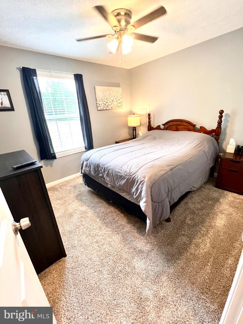 36668 Owens Dr Property Photo 14