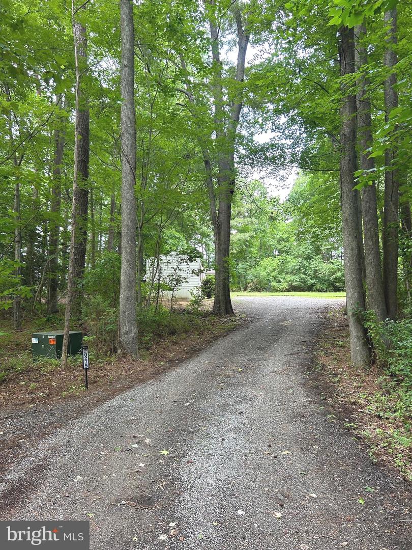 20275 JACKSON RD