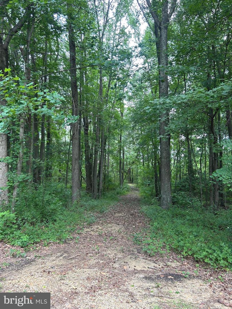 20275 Jackson Rd Property Photo 2