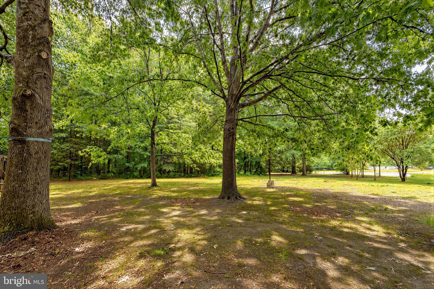 17347 Whitaker Ct Property Photo 40