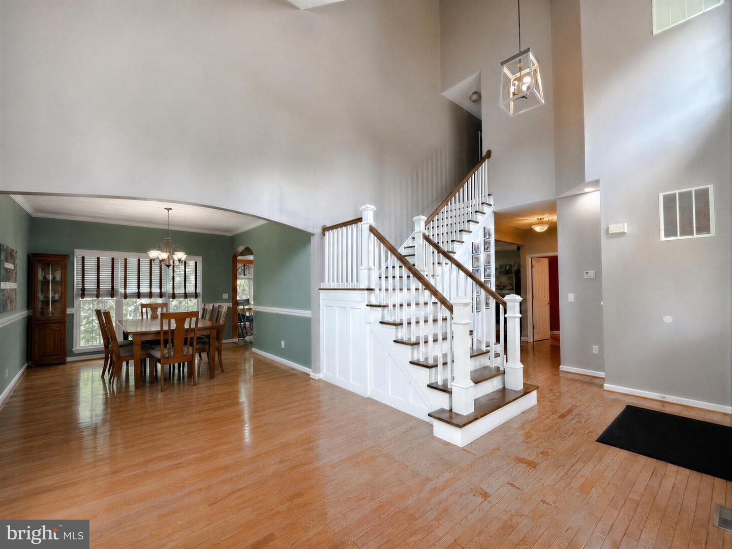 23118 Silverberry Way Property Photo 3