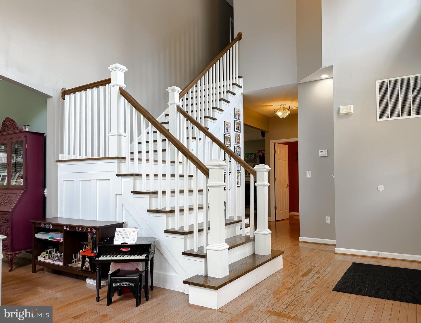 23118 Silverberry Way Property Photo 6