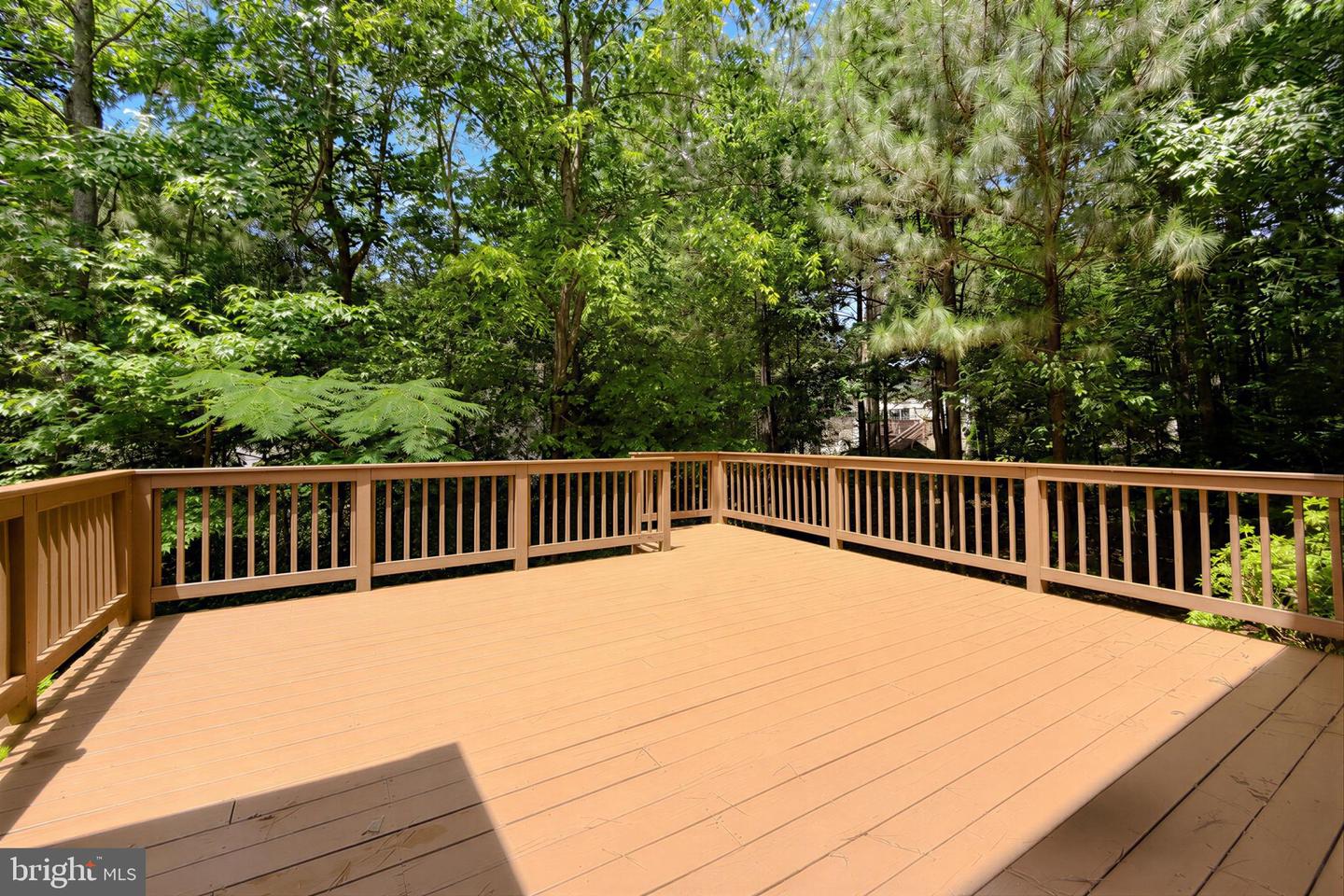 23118 Silverberry Way Property Photo 54