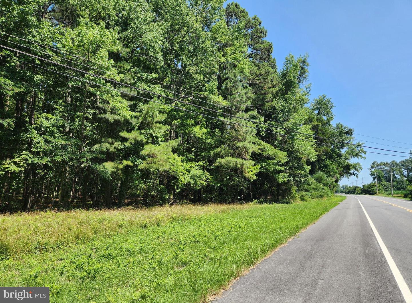 Point Lookout Rd Property Photo 1