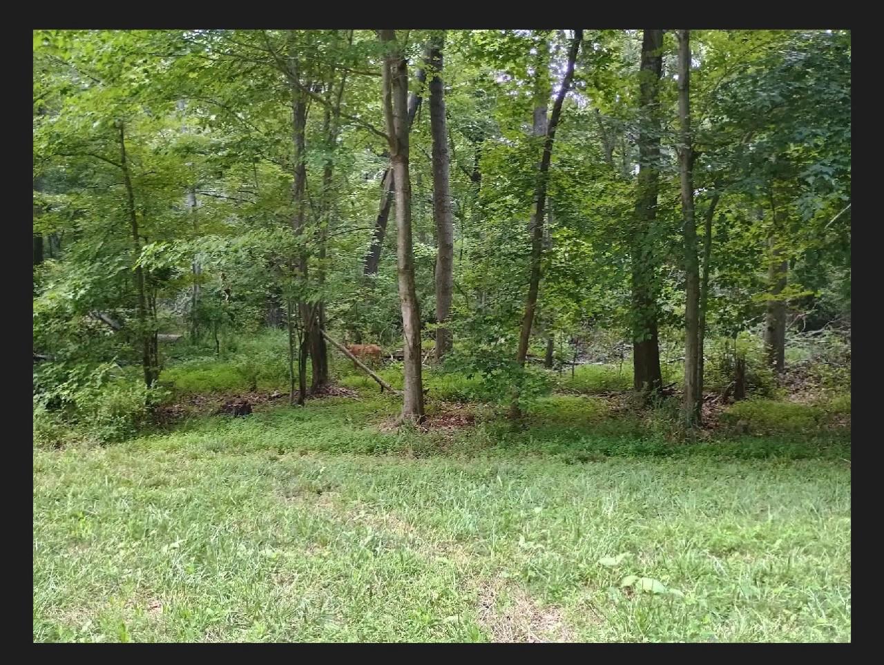 Janet Ln Property Photo 1