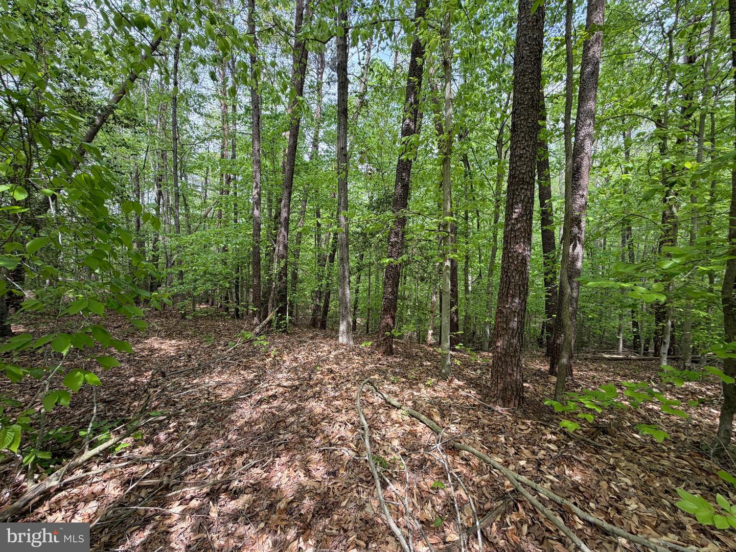 41160 LIVING WATER LN Property Photo 1
