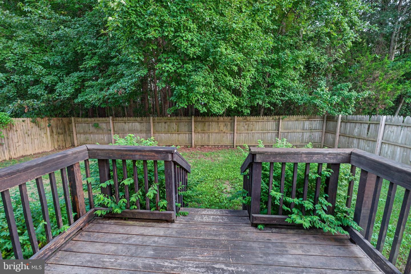 47949 Piney Orchard St Property Photo 18