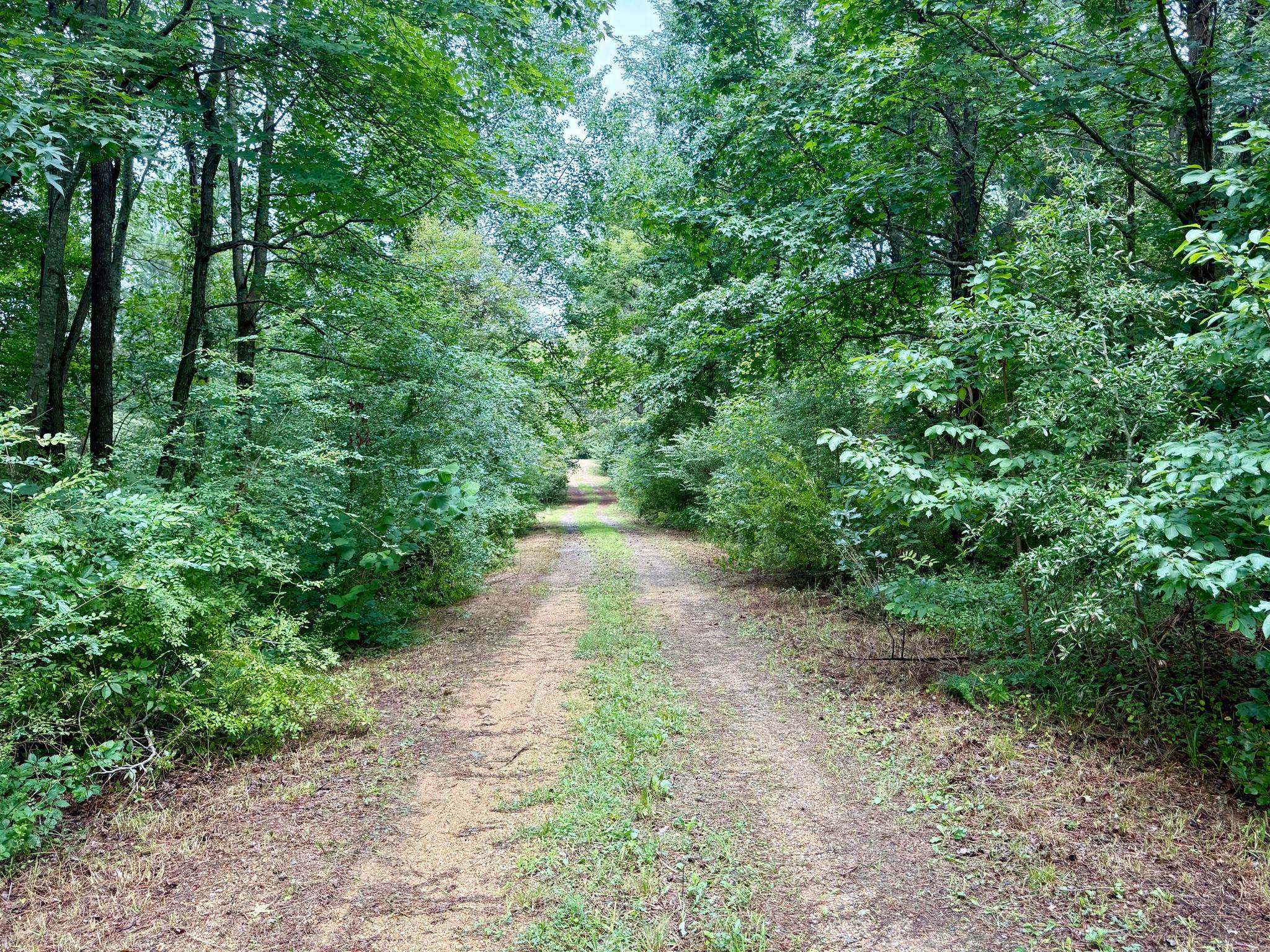 45291 Take It Easy Ranch Rd Property Photo 1