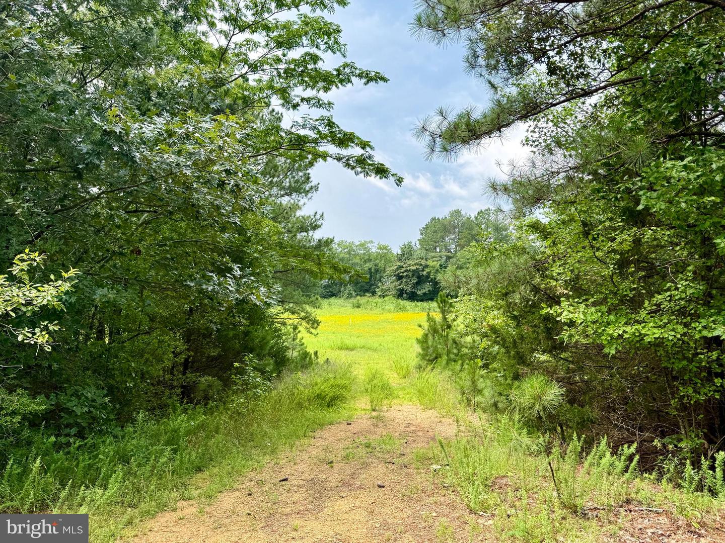 45291 Take It Easy Ranch Rd Property Photo 2