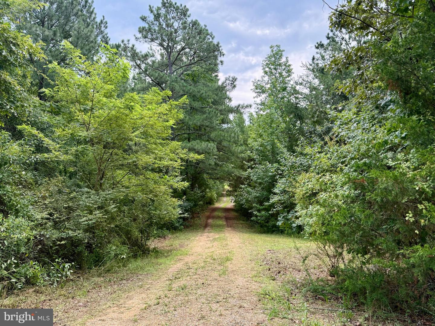 45291 Take It Easy Ranch Rd Property Photo 3