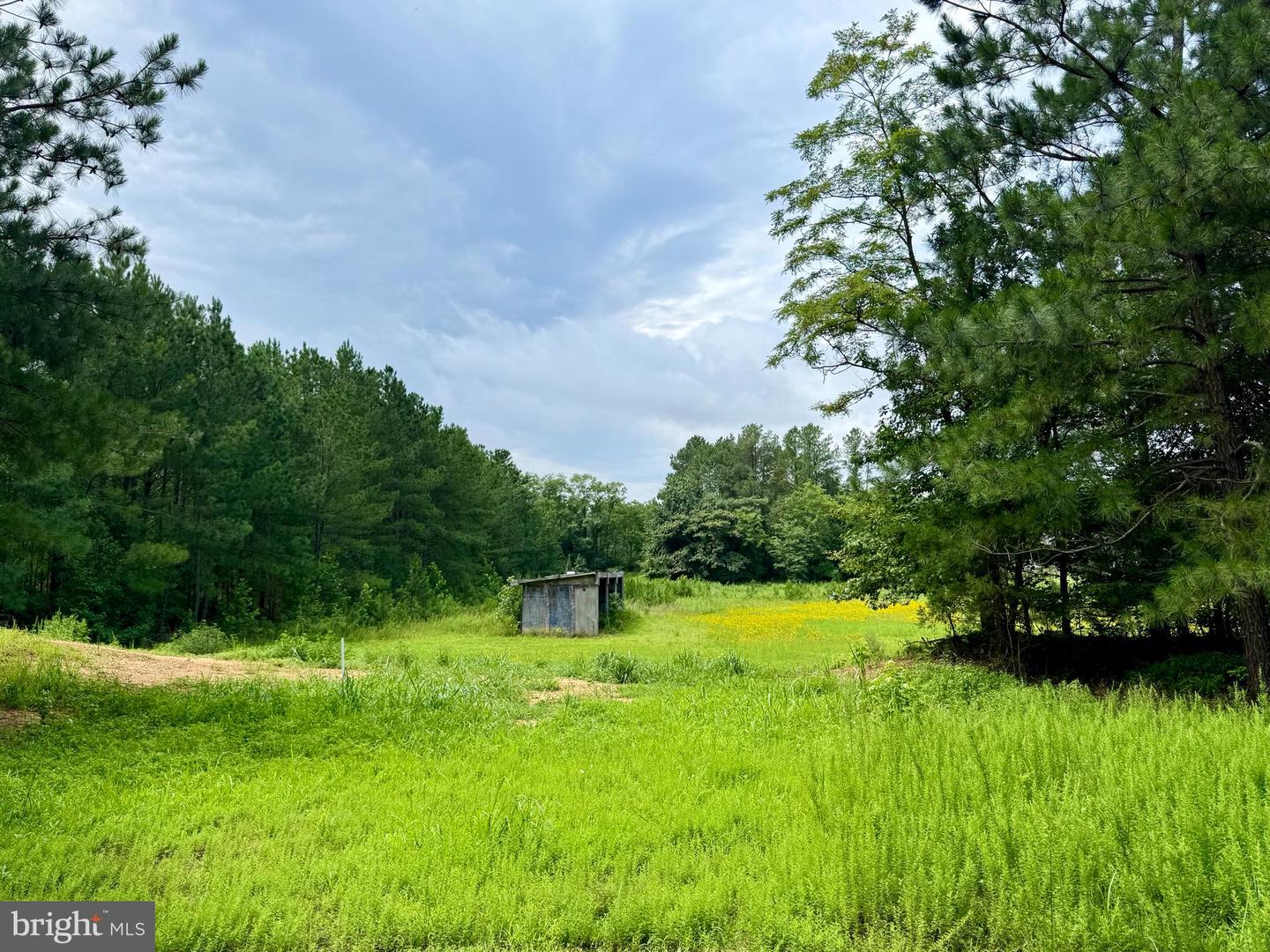 45291 Take It Easy Ranch Rd Property Photo 4