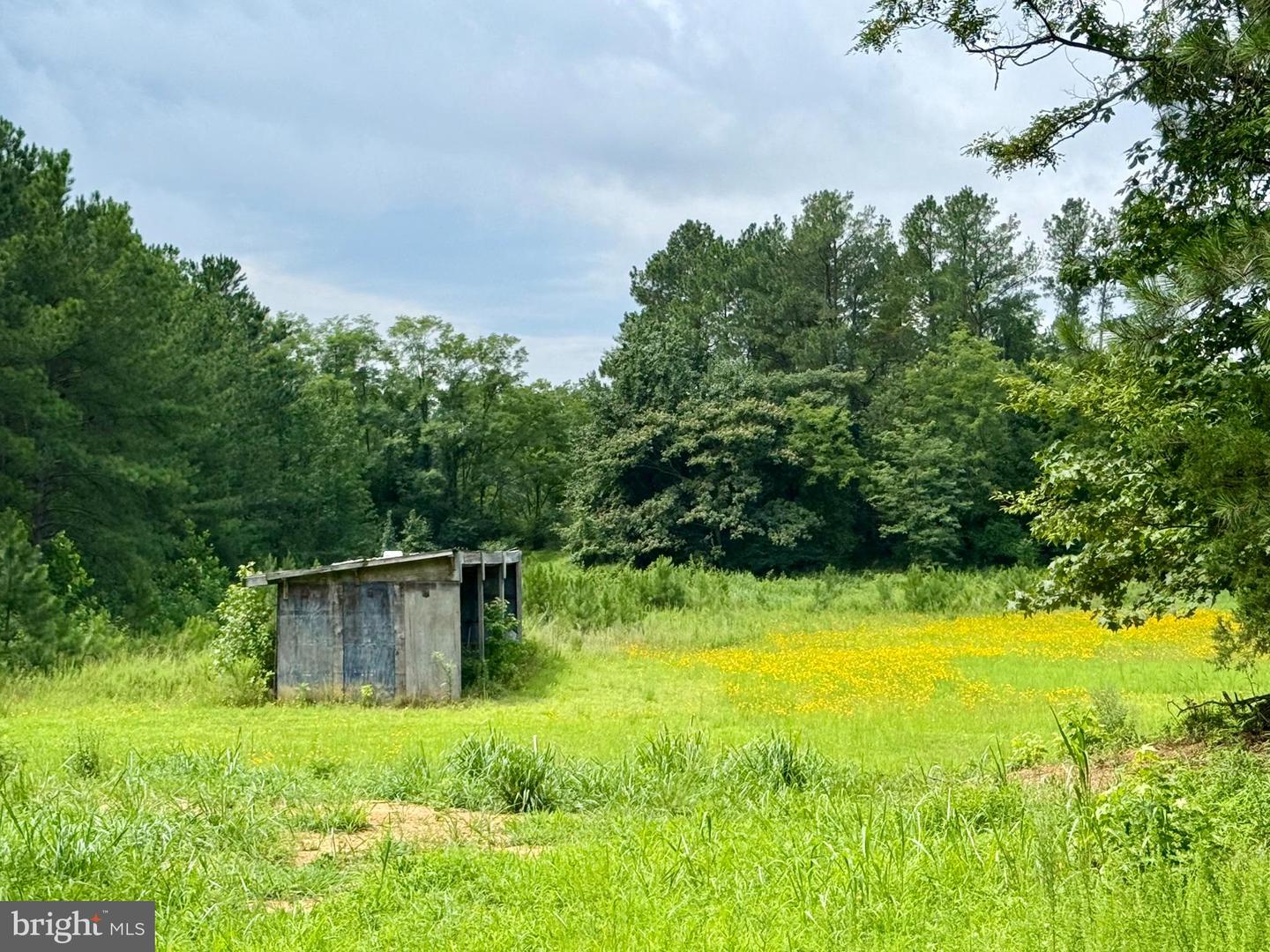 45291 Take It Easy Ranch Rd Property Photo 5