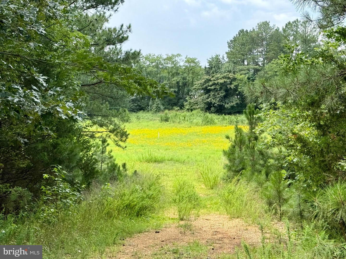 45291 Take It Easy Ranch Rd Property Photo 8