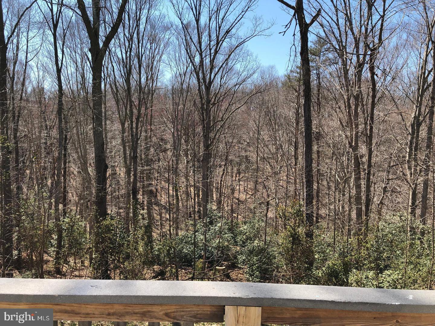 29781 Oak Rd Property Photo 20