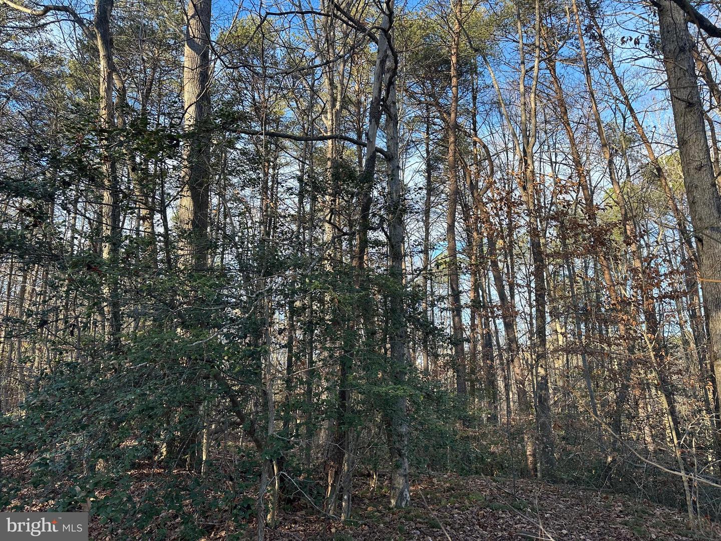 41180 Living Water Ln Property Photo 2