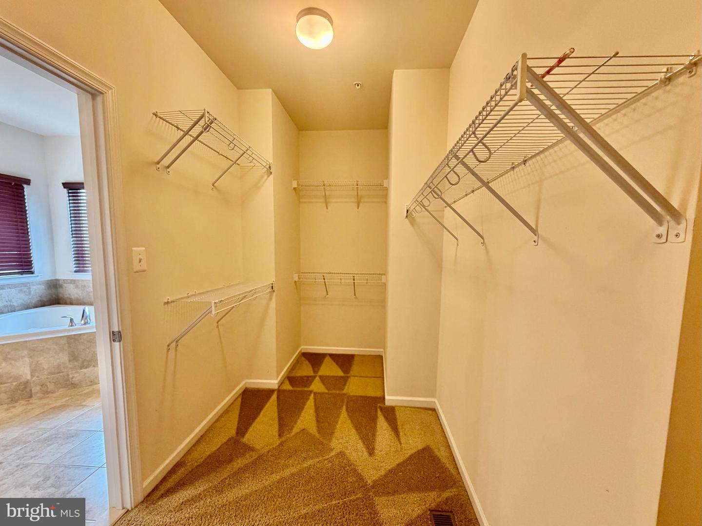 43699 Sweetbay St Property Photo 16