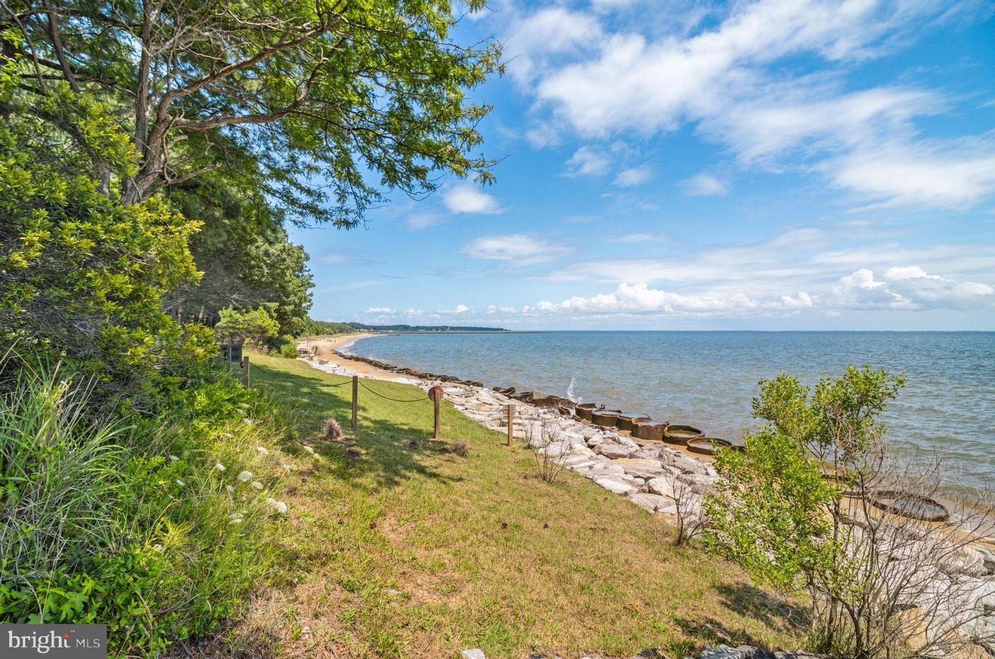 48274 Choptank Property Photo 41