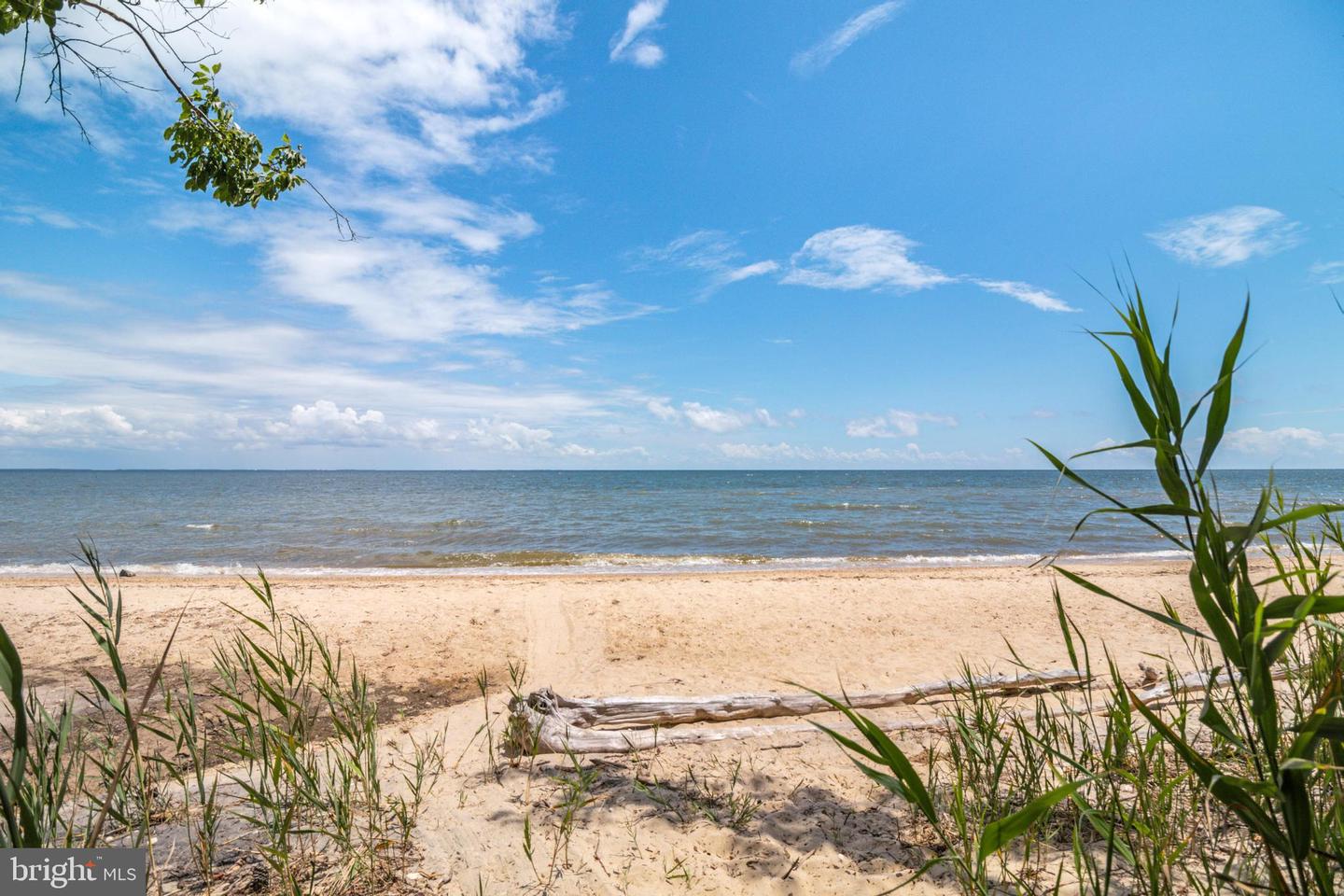 48274 Choptank Property Photo 42