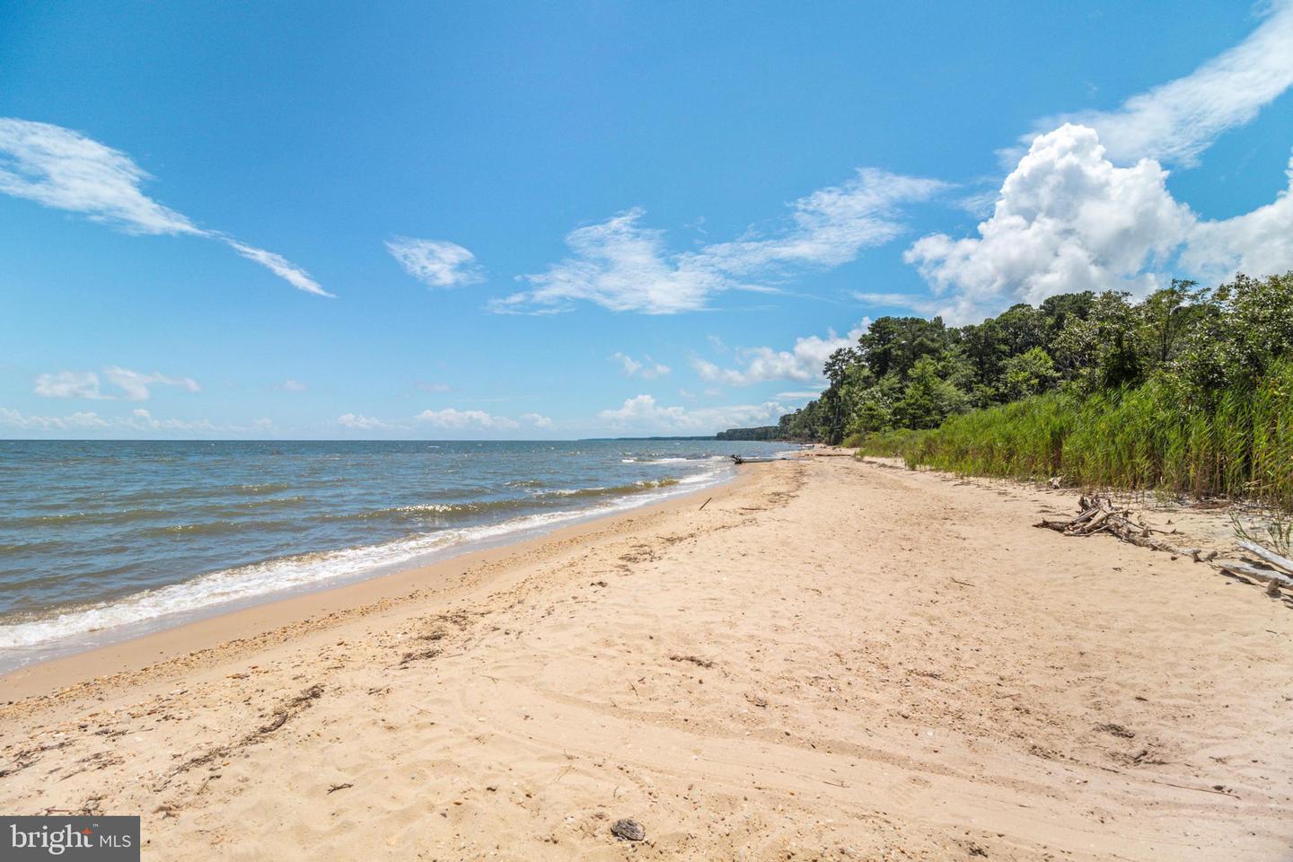 48274 Choptank Property Photo 44