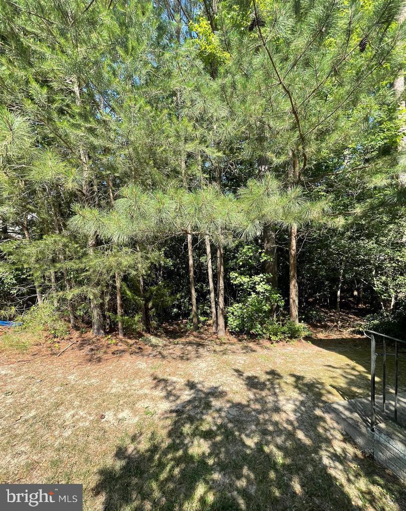 23435 Aster Way Property Photo 35