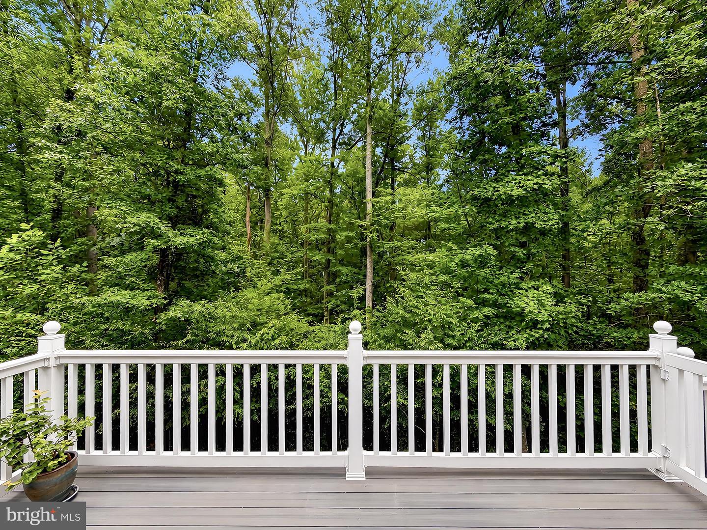 25958 Haven View Ct Property Photo 16